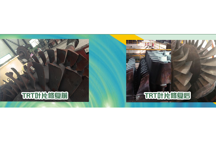 TRT葉片修復 前、后